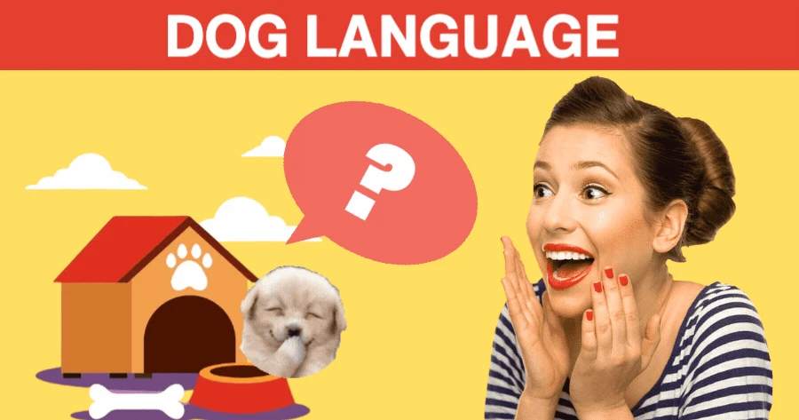 Whatโs Your Name In Dog Language?